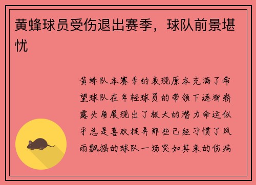 黄蜂球员受伤退出赛季，球队前景堪忧