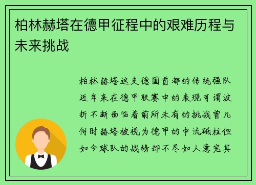 柏林赫塔在德甲征程中的艰难历程与未来挑战